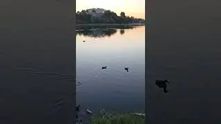 На рассвете 
