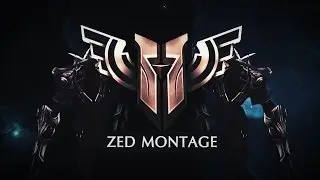 zed montage  