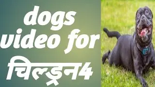 कुत्ते, कुत्ता, कुत्तों, kutta, kutte, kutton,dogs, dog,
