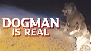 Dogman is real