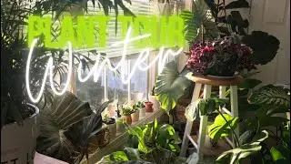 Winter Plant Tour
