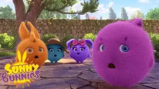 SUNNY BUNNIES -Den Weg finden | Staffel 2 | Cartoons für Kinder