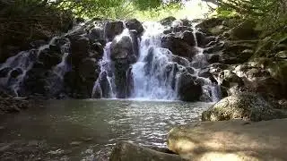 РЕЛАКС ВИДЕО