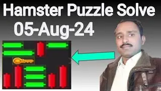 Hamster combat kay 5 august puzzle solve
