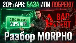 Morpho Blue 20% на USDC — это база или побреют? 🪒 Вся правда про Morpho и как не лишиться средств.