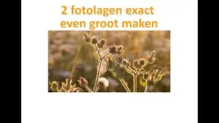 Twee fotolagen exact even groot maken met gimp