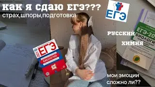 мой путь подготовки к ЕГЭ || слёзы,страх,советы || хим/био🥹🪴