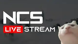 🎶 NCS Livestream #24 🎧 [NCS10]