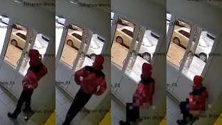 В Воронеже курьер насрал в подъезде на… котёнка.