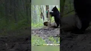 МЕСТНЫЙ РЭКЕТ ЯБЛОЧНУЮ ТОЧКУ РАЗГРОМИЛ. 