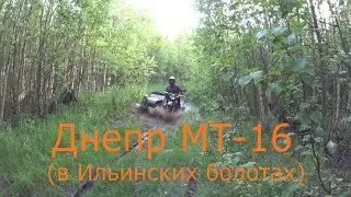 Днепр МТ-16 (в Ильинских болотах)