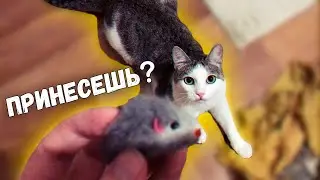 Бросаю коту МИШКЕ мышку и он её ПРИНОСИТ обратно / SANISHOW