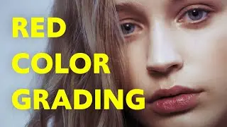 RED RAW Color Grading in DaVinci Resolve [DE]