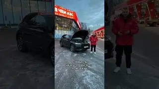 В Германии меняют масло каждые 30 000 км – почему? 