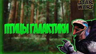 Звёздные Войны | Птицы галактики | Star Wars