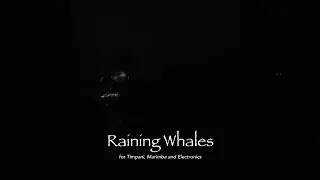 Jiro Yoshioka - Raining Whales (2023)