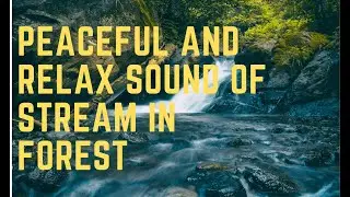 🆕Sound Of Gentle Stream. Natural Stream Sound 🏻 Water Sounds Relaxing Official Video