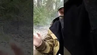 Все, что осталось от глухаря. 