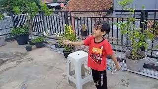 Main Layangan Diatas Rumah, Cuaca Hujan Terus Kemarin