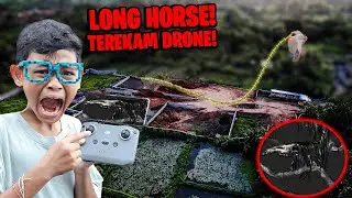 A BAD DRONE CAPTURES A MONSTER LONG HORSE FLYING IN THE SKY!!!
