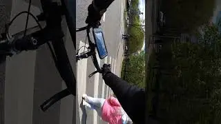 4247 - Никогда не спешивайся на зебре☝️😌 #shorts