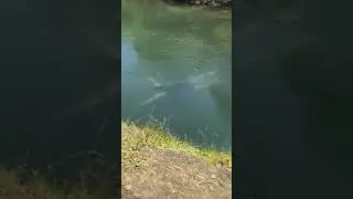 #шок