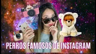 LOS PERROS MÁS FAMOSOS DE INSTAGRAM 🐾