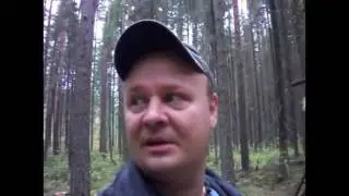 Вести из лачуги
