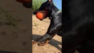 Это страшно