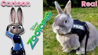 ZOOTOPIA Characters  in real life 💥