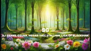 DJ Snake, Ozuna, Megan Thee Stallion, LISA of BLACKPINK (Lyrics)