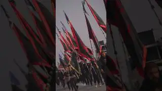 Ziyarat E Arbaeen Ki Fazilat | Mohsin Ali Najfi | Arbaeen Walk 2024 #karbala #imamhussain