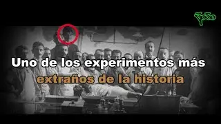 Uno de los experimentos mas extraños de la historia