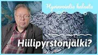 Kalastus ja ympäristö | Hyvinvointia kalasta