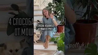 ЖИЗНЬ БЕЗ МОШЕК /больше пользы в моем тг t.me/spottykit