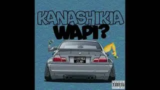 VINTAGE CLAN - KANASHIKIA WAPI? (Official Audio)