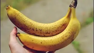 Удобрение из банановой кожуры
