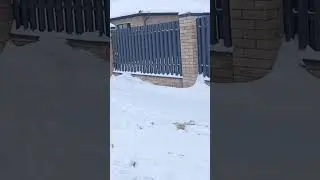 Купили домик в деревне