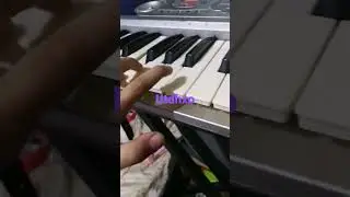 shape of You song