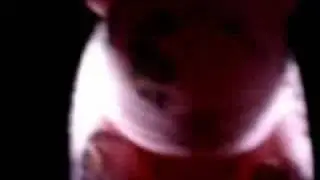 Roger Waters - Sheep - Live Santiago de Chile