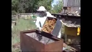 Переработка старой  Восковой суши