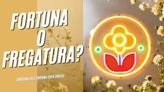 FORTUNA o FREGATURA? Unboxing dell'insegna neon vinta GRATIS! 🎰