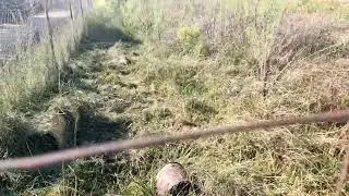 Comenzamos con el proyecto de restauración de la casa de huerta en Abarán Murcia España