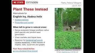 PPP July 2021 | Mycorrhizal Fungi and Soil Health