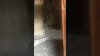 16 ноября 2019 г.