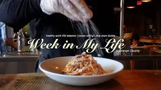 realistic week in my life: house sitting chaos, LA events & dog mom life | VLOG🌸