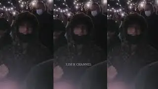 BTS on Harry Styles Concert