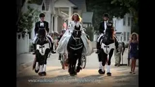 Mackinac Island's Festival Of the Horse ~