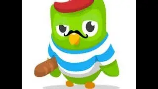 DUOLINGO IDIOMA FRANCÉS