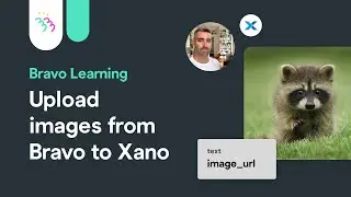 How to upload images from Bravo to Xano | Bravo Learning